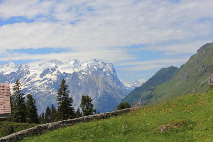 Alpenrose Hotel Инерткирхен Екстериор снимка